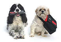 Dogs: Justine and Wendell